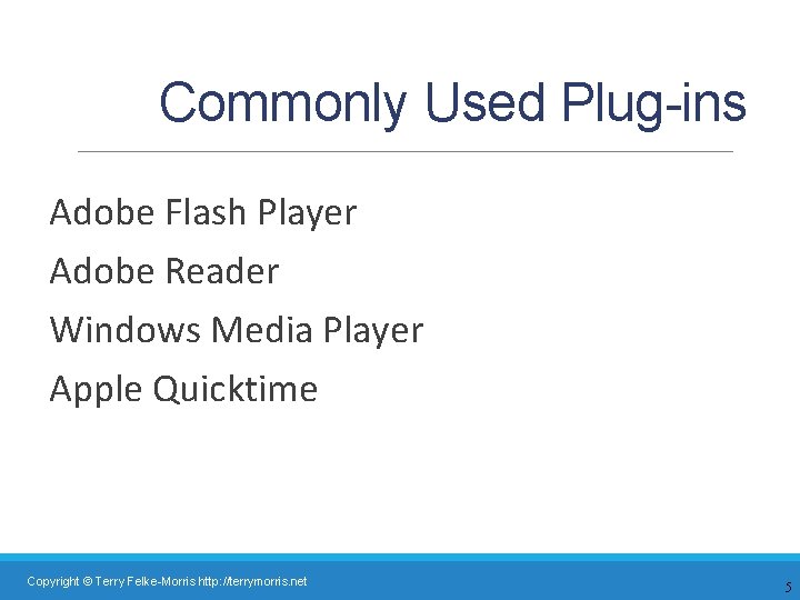 Commonly Used Plug-ins Adobe Flash Player Adobe Reader Windows Media Player Apple Quicktime Copyright