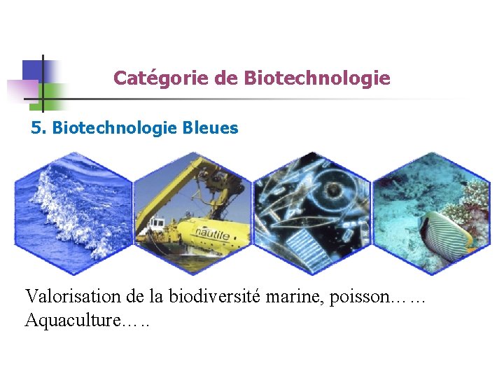 Catégorie de Biotechnologie 5. Biotechnologie Bleues Valorisation de la biodiversité marine, poisson…… Aquaculture…. .