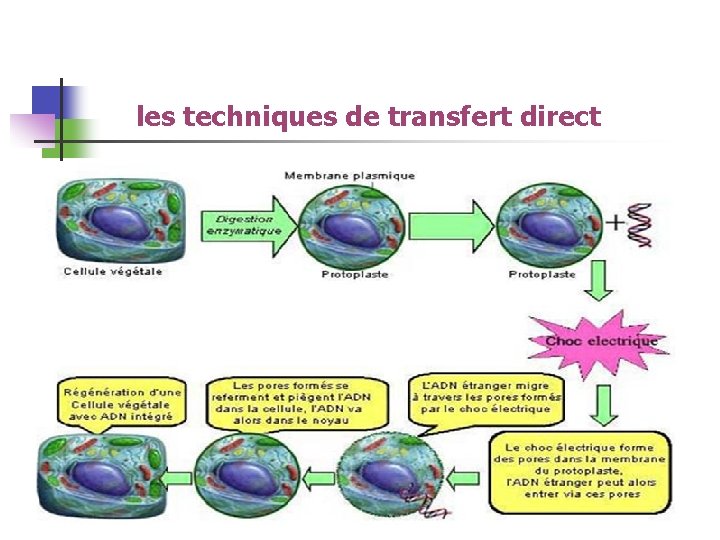 les techniques de transfert direct 