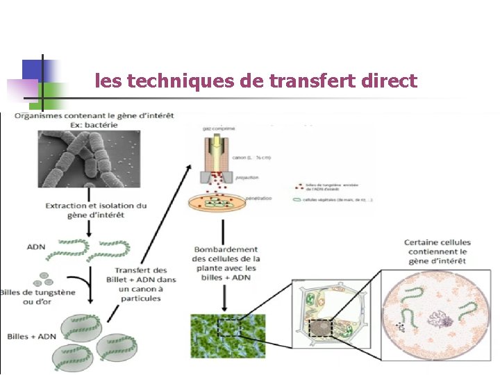 les techniques de transfert direct 