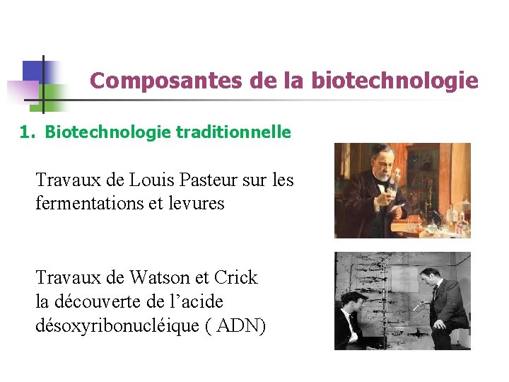 Composantes de la biotechnologie 1. Biotechnologie traditionnelle Travaux de Louis Pasteur sur les fermentations