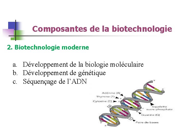 Composantes de la biotechnologie 2. Biotechnologie moderne a. Développement de la biologie moléculaire b.