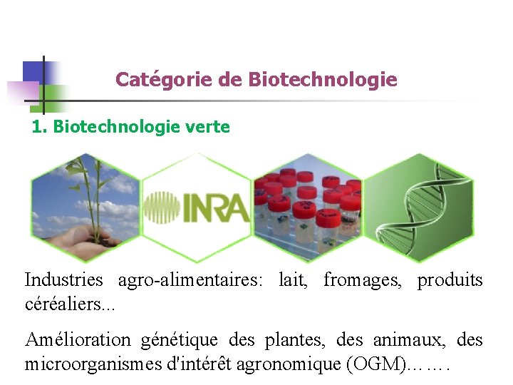 Catégorie de Biotechnologie 1. Biotechnologie verte Industries agro-alimentaires: lait, fromages, produits céréaliers. . .