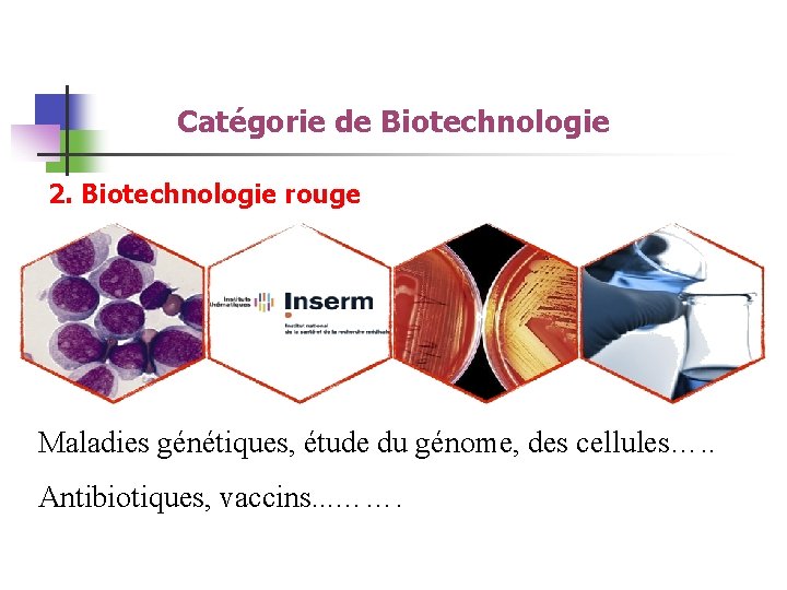 Catégorie de Biotechnologie 2. Biotechnologie rouge Maladies génétiques, étude du génome, des cellules…. .