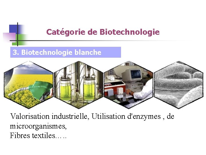 Catégorie de Biotechnologie 3. Biotechnologie blanche Valorisation industrielle, Utilisation d'enzymes , de microorganismes, Fibres