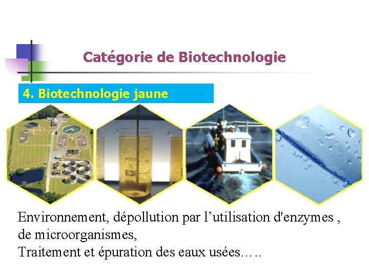 Catégorie de Biotechnologie 4. Biotechnologie jaune Environnement, dépollution par l’utilisation d'enzymes , de microorganismes,