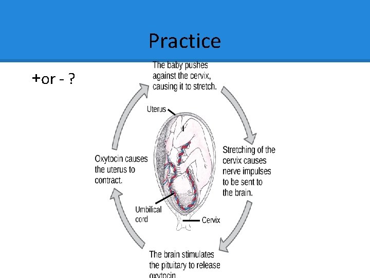 Practice +or - ? Practice +or - ?