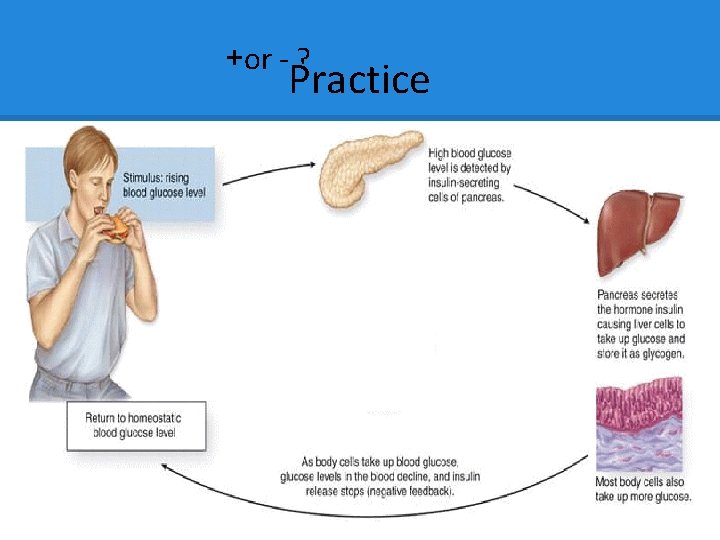 +or - ? Practice +or - ? Practice