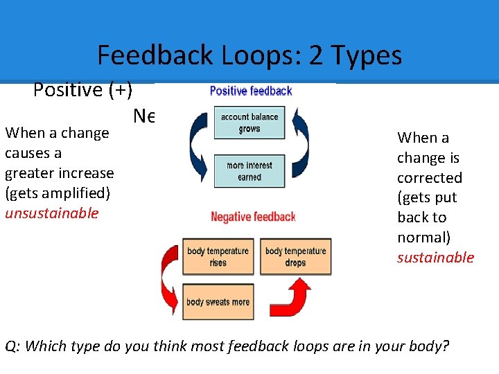 Feedback Loops: 2 Types Positive (+) Negative (-) When a change causes a greater Feedback Loops: 2 Types Positive (+) Negative (-) When a change causes a greater
