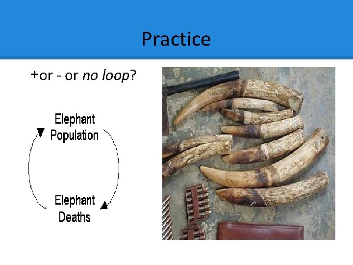 Practice +or - or no loop? Practice +or - or no loop?