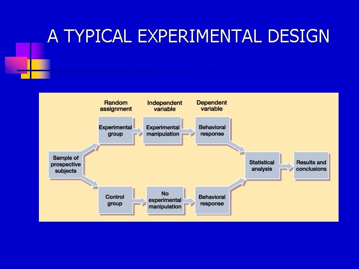 A TYPICAL EXPERIMENTAL DESIGN 