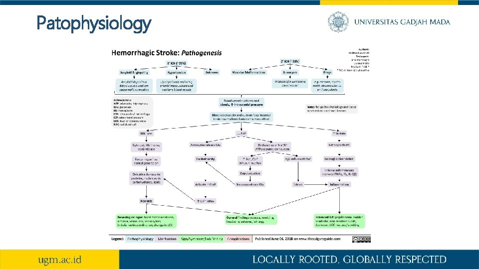 Patophysiology 