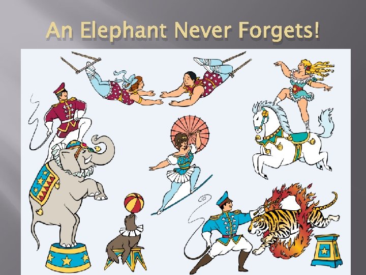 An Elephant Never Forgets! 