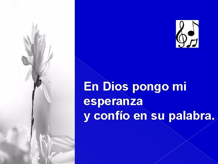 En Dios pongo mi esperanza y confío en su palabra. 