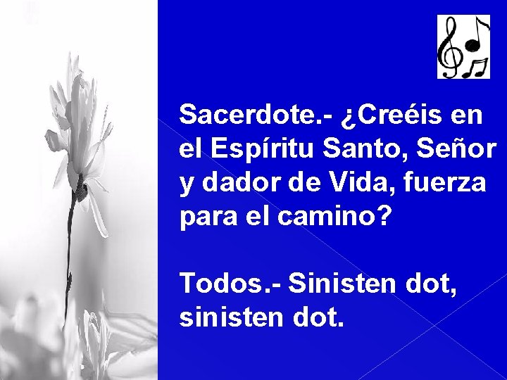 Sacerdote. - ¿Creéis en el Espíritu Santo, Señor y dador de Vida, fuerza para