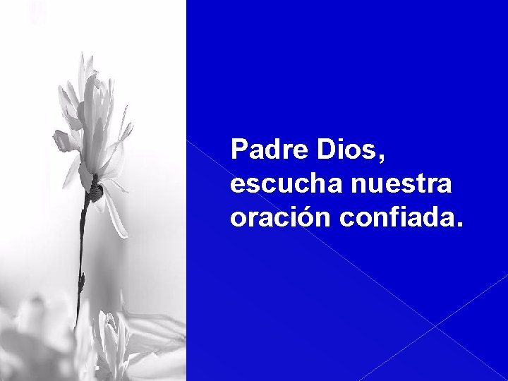 Padre Dios, escucha nuestra oración confiada. 