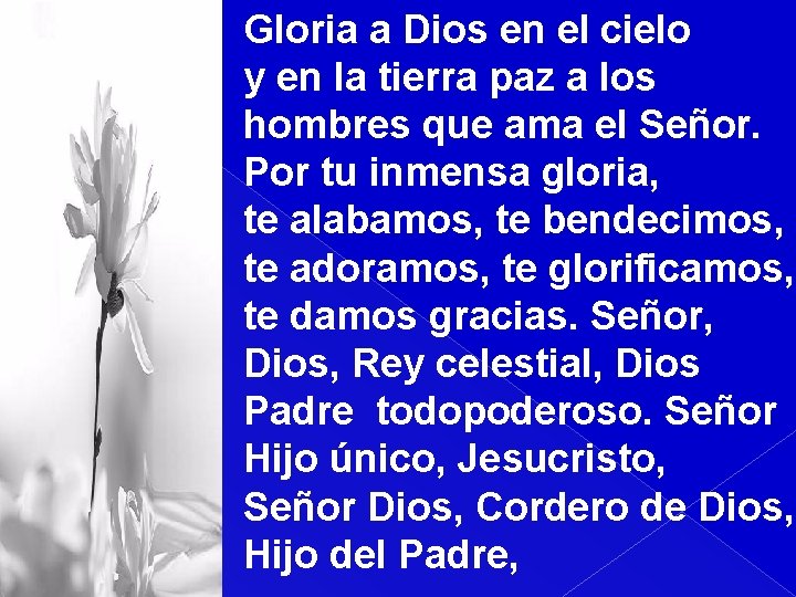 Gloria a Dios en el cielo y en la tierra paz a los hombres