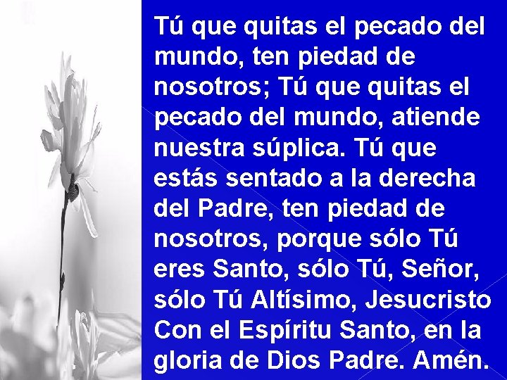 Tú que quitas el pecado del mundo, ten piedad de nosotros; Tú que quitas