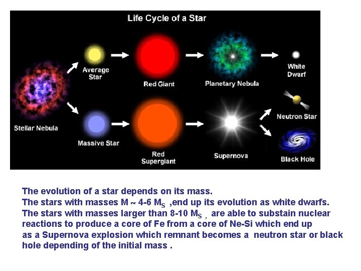 The evolution of a star depends on its mass. The stars with masses M