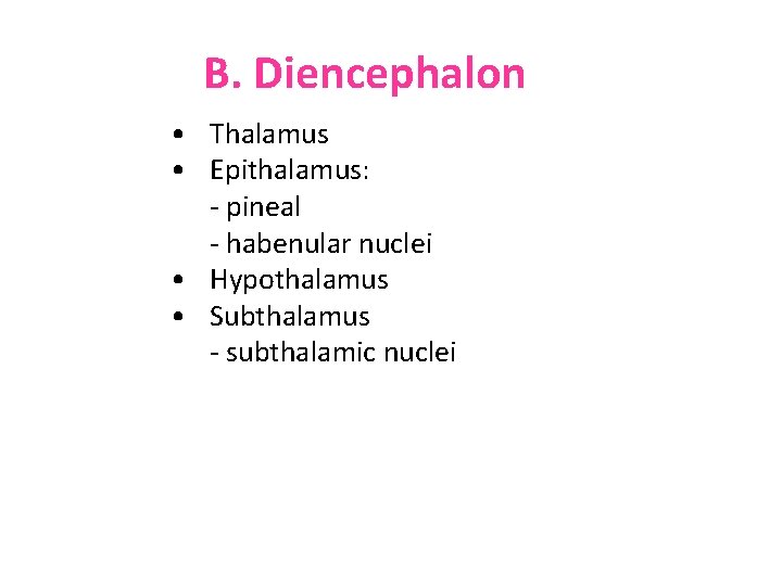 B. Diencephalon • Thalamus • Epithalamus: - pineal - habenular nuclei • Hypothalamus •