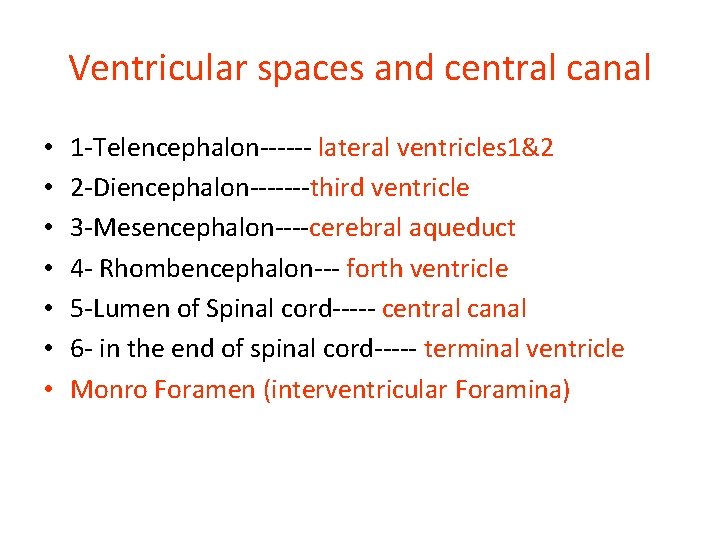 Ventricular spaces and central canal • • 1 -Telencephalon------ lateral ventricles 1&2 2 -Diencephalon-------third