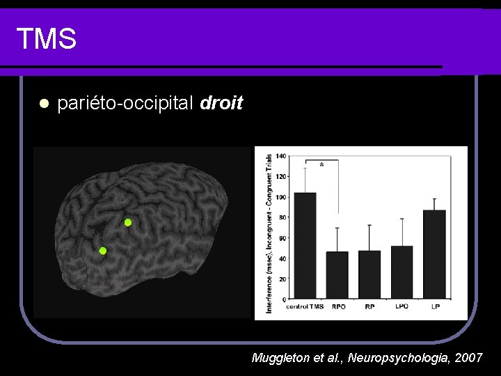 TMS l pariéto-occipital droit Muggleton et al. , Neuropsychologia, 2007 