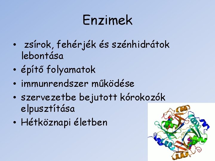 Enzimek • zsírok, fehérjék és szénhidrátok lebontása • építő folyamatok • immunrendszer működése •