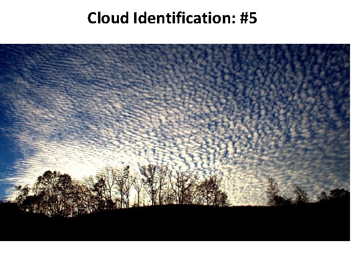 Cloud Identification: #5 