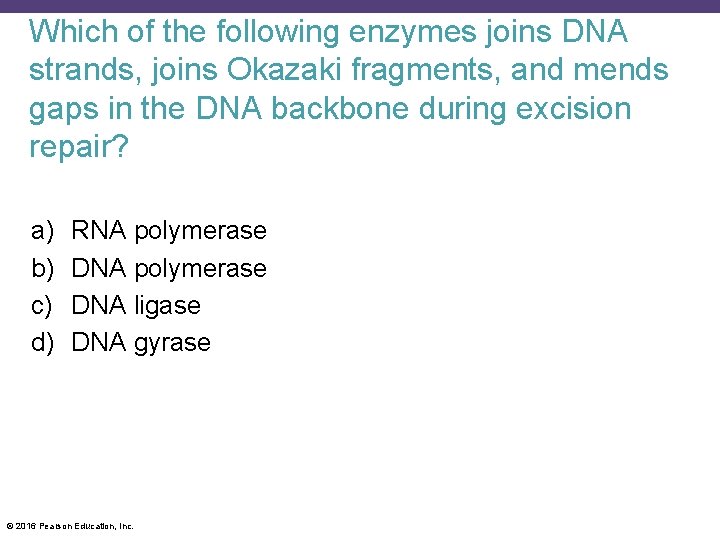 Which of the following enzymes joins DNA strands, joins Okazaki fragments, and mends gaps