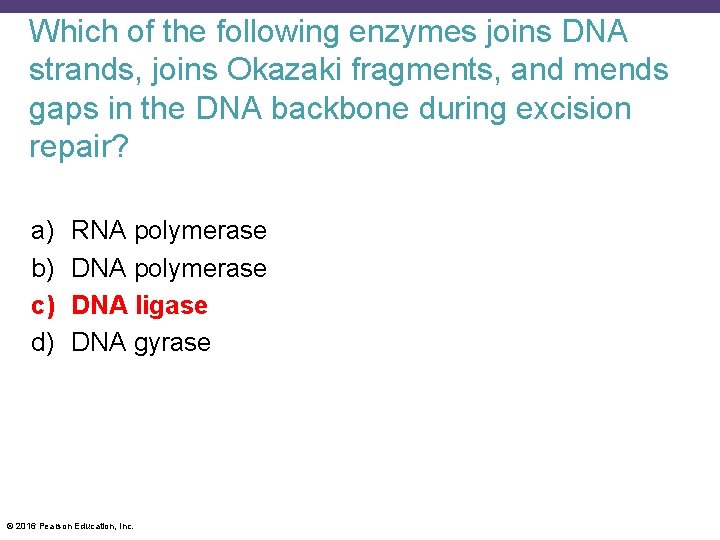 Which of the following enzymes joins DNA strands, joins Okazaki fragments, and mends gaps