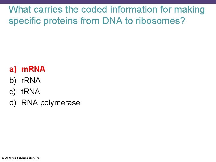 What carries the coded information for making specific proteins from DNA to ribosomes? a)