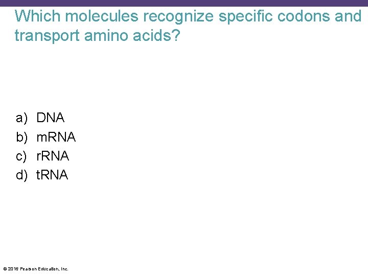 Which molecules recognize specific codons and transport amino acids? a) b) c) d) DNA
