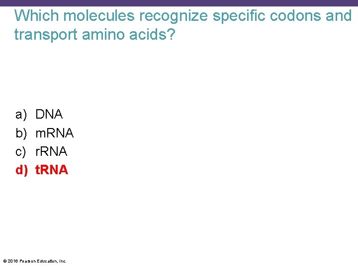 Which molecules recognize specific codons and transport amino acids? a) b) c) d) DNA