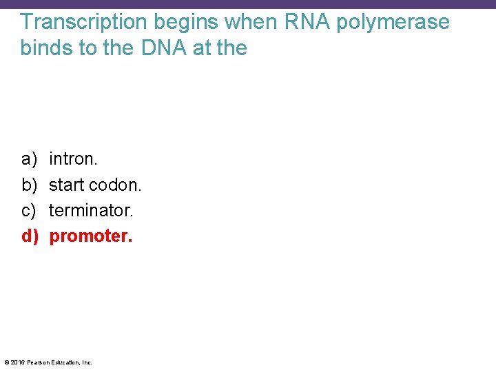 Transcription begins when RNA polymerase binds to the DNA at the a) b) c)