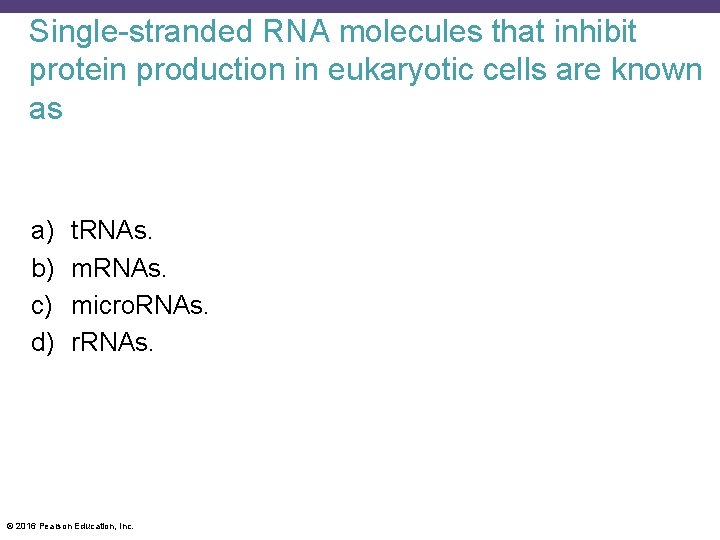 Single-stranded RNA molecules that inhibit protein production in eukaryotic cells are known as a)