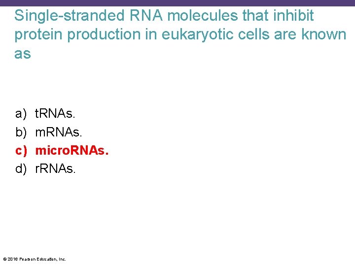 Single-stranded RNA molecules that inhibit protein production in eukaryotic cells are known as a)