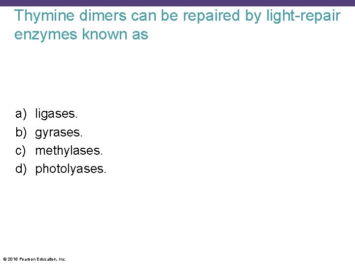 Thymine dimers can be repaired by light-repair enzymes known as a) b) c) d)