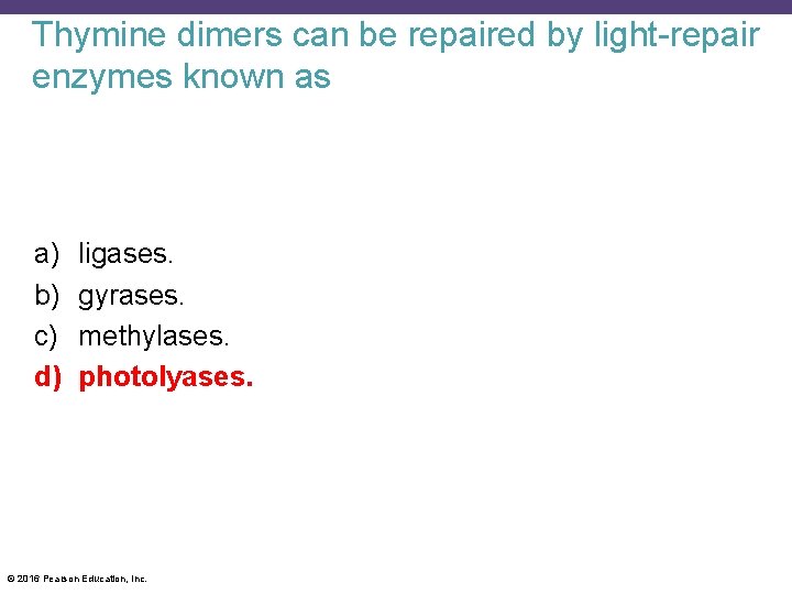 Thymine dimers can be repaired by light-repair enzymes known as a) b) c) d)