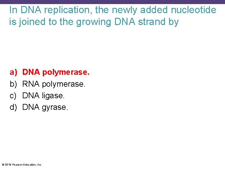 In DNA replication, the newly added nucleotide is joined to the growing DNA strand