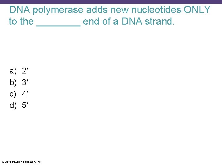 DNA polymerase adds new nucleotides ONLY to the ____ end of a DNA strand.