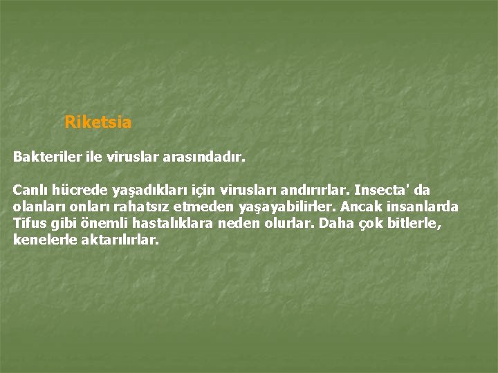 Riketsia Bakteriler ile viruslar arasındadır. Canlı hücrede yaşadıkları için virusları andırırlar. Insecta' da olanları