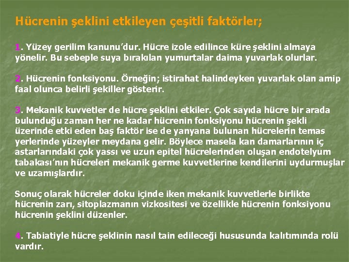 Hücrenin şeklini etkileyen çeşitli faktörler; 1. Yüzey gerilim kanunu’dur. Hücre izole edilince küre şeklini