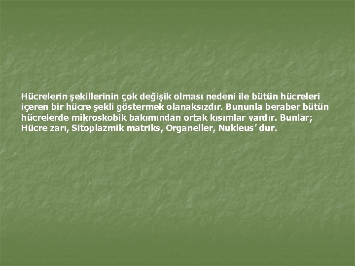 Hücrelerin şekillerinin çok değişik olması nedeni ile bütün hücreleri içeren bir hücre şekli göstermek