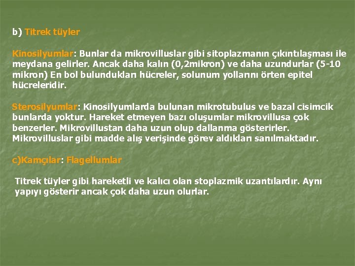 b) Titrek tüyler Kinosilyumlar: Bunlar da mikrovilluslar gibi sitoplazmanın çıkıntılaşması ile meydana gelirler. Ancak