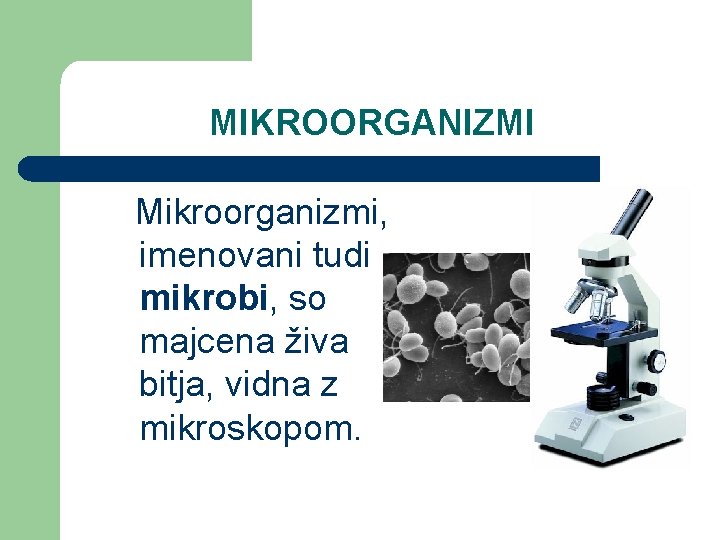 MIKROORGANIZMI Mikroorganizmi, imenovani tudi mikrobi, so majcena živa bitja, vidna z mikroskopom. 