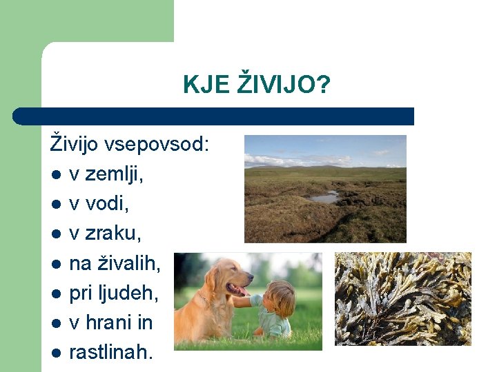 KJE ŽIVIJO? Živijo vsepovsod: l v zemlji, l v vodi, l v zraku, l