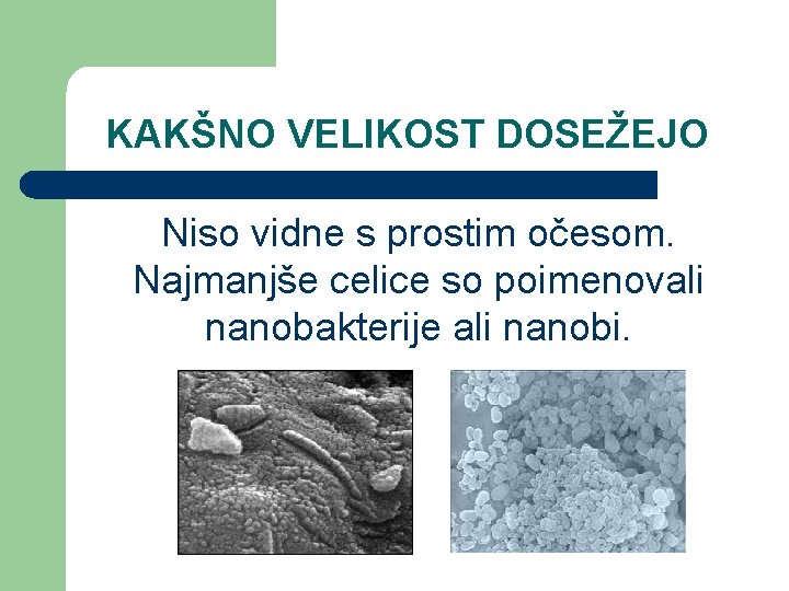 KAKŠNO VELIKOST DOSEŽEJO Niso vidne s prostim očesom. Najmanjše celice so poimenovali nanobakterije ali