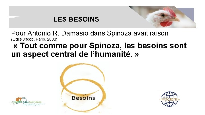 LES BESOINS Pour Antonio R. Damasio dans Spinoza avait raison (Odile Jacob, Paris, 2003)