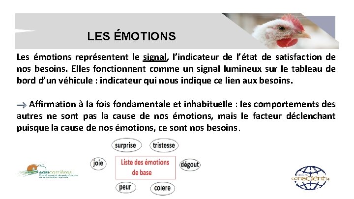 LES ÉMOTIONS Les émotions représentent le signal, l’indicateur de l’état de satisfaction de nos