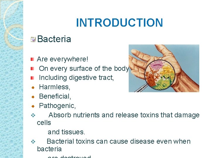 INTRODUCTION Bacteria Are everywhere! On every surface of the body, Including digestive tract, Harmless,